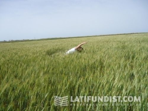 АгроЭкспедиция: день 6 АгроЭкспедиция: день 6