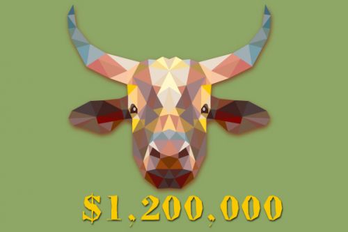 Мисси: Голштинка на миллион cow