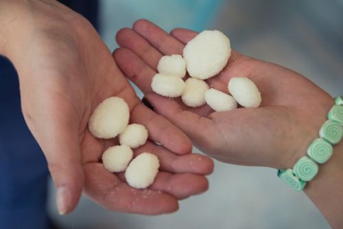 АгроЭкспедиция Сахарная свекла 2016 sugar