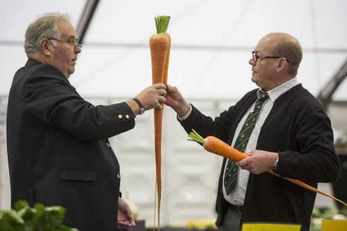 Фестиваль урожая Harrogate Flower Show
