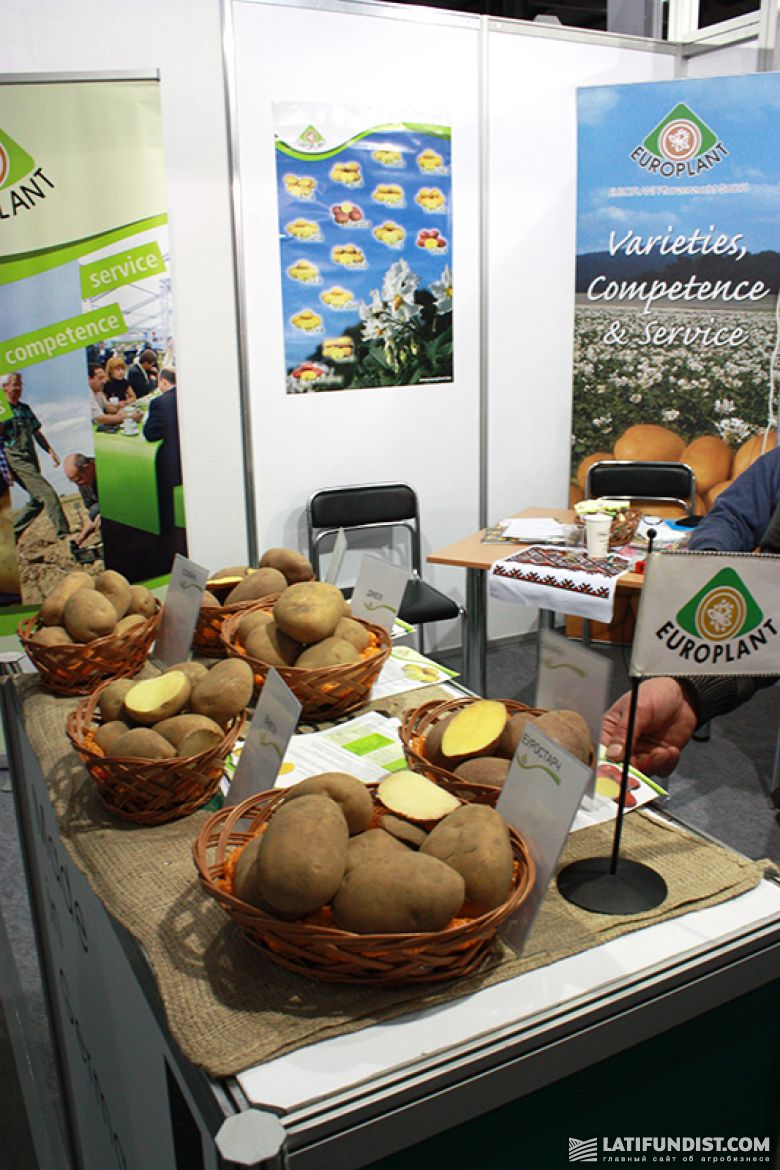 Europlant Ukraina: картошки много не бывает