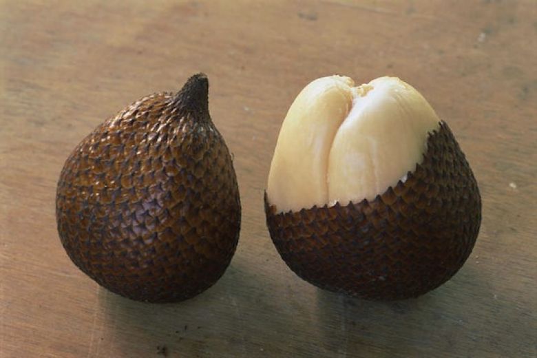 Салака. Внутри находятся 3 белых сладких «сегмента», каждый из которых содержит небольшие черные несъедобные семена. Фрукты обладают кисло-сладким вкусом, по консистенции напоминают яблоки.