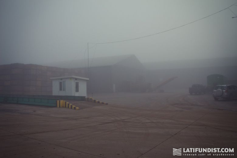 Предприятие «Агро ЛВ Лимитед» под покровом осеннего тумана 