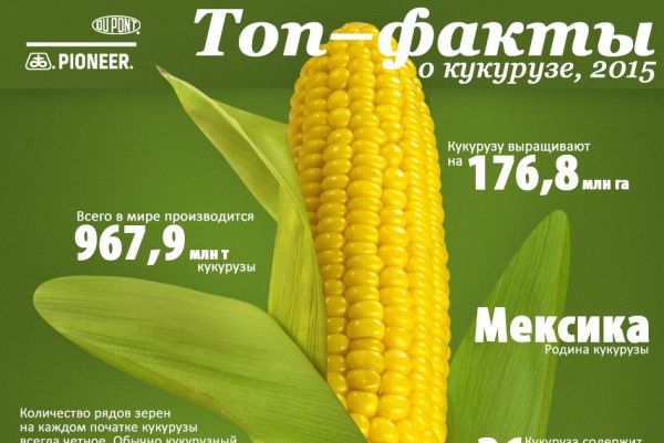 Топ-факты о кукурузе, 2015
