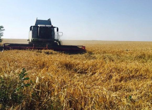 Уборочная кампания ранних зерновых культур в Одесской области