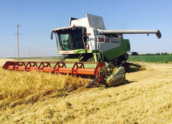 Уборочная кампания ранних зерновых культур в Одесской области