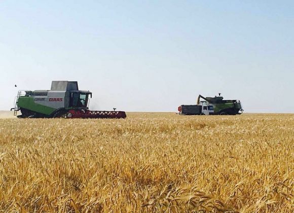 Уборочная кампания ранних зерновых культур в Одесской области