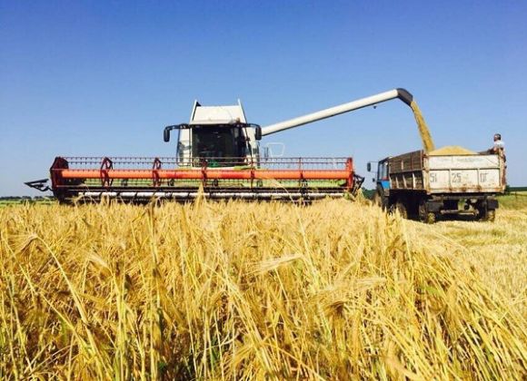 Уборочная кампания ранних зерновых культур в Одесской области