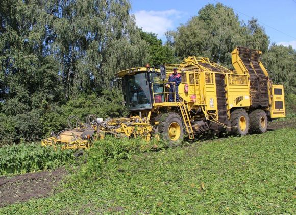 Предприятие Астарты приступило к сбору сахарной свеклы