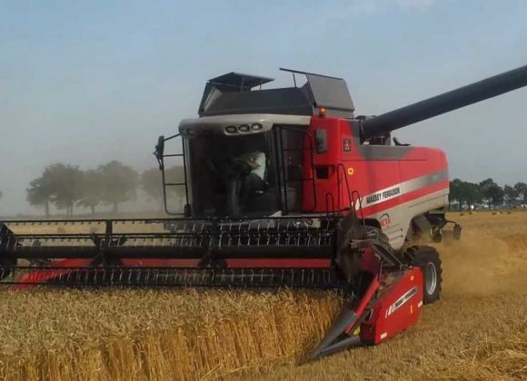 Massey Ferguson 7370 Beta