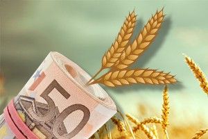 В Киеве обсудят вызовы и возможности украинского агробизнеса
