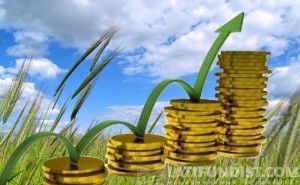 Цены на сельхозпродукцию выросли на 56%