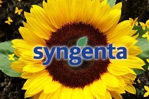 ChemChina хочет приобрести швейцарскую Syngenta  более чем за $ 43 млрд