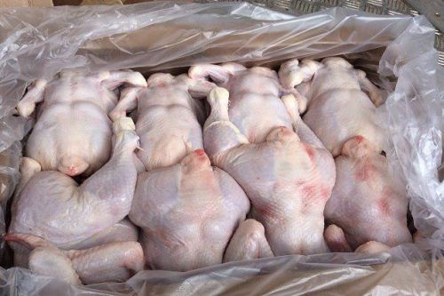Иордан отменил запрет на импорт птицы из Украины Иордан отменил запрет на импорт птицы из Украины