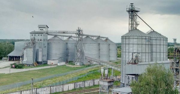 «Пересечанский маслоэкстракционный завод» («Вайтерра Колос») в Харьковской области