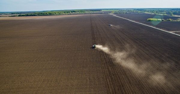 Посевная кампания озимых зерновых в Украине 