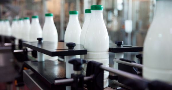 Производство бутилированного молока