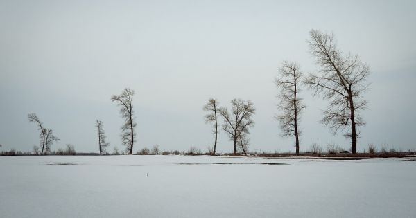 поле, сніг