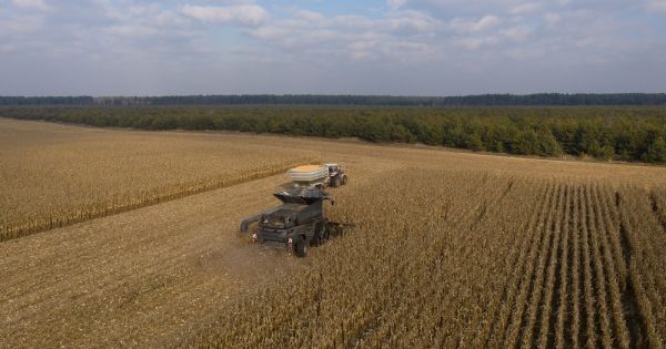 Fendt IDEAL harvesting corn in Ukraine