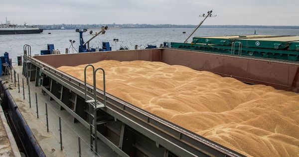 A barge is loaded with wheat at NIBULON export terminal in Mykolaiv port