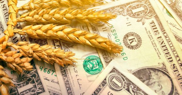 Зерно, валютні коливання, дохід аграріїв