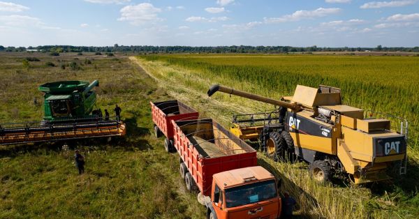 Harvesting campaign in Ukraine