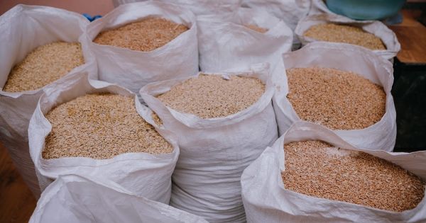 Bags filled with grain at an elevator in Ukraine