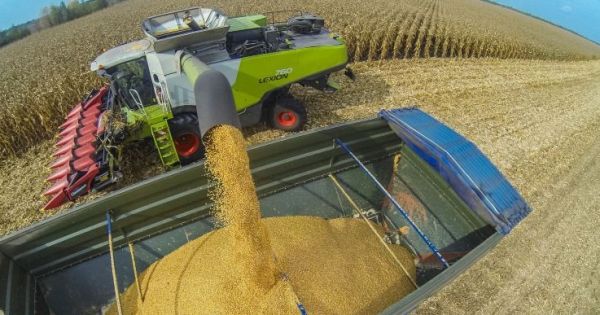 Claas Lexion combine harvester is reloading corn grain into a truck in a field in Ukraine