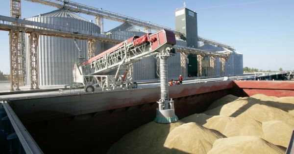 Grain loading onto a bulk carrier at the NIBULON terminal in Mykolaiv, Ukraine