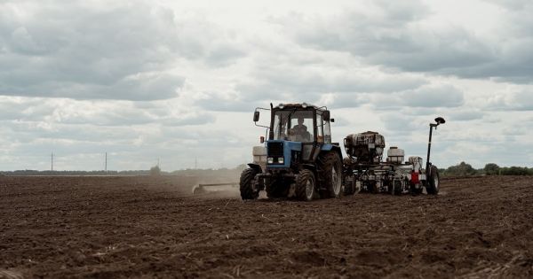 A seeder towed to a Belarus tractor in a field in Ukraine