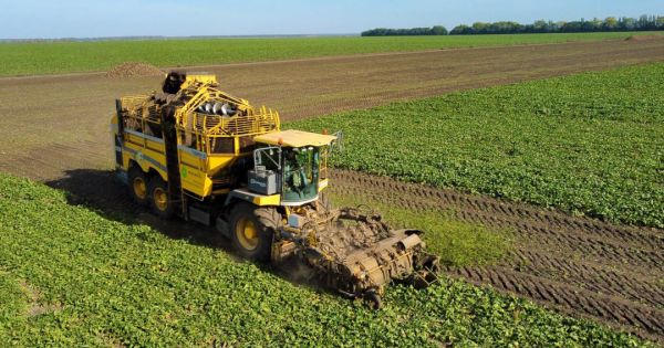 «ТАС Агро» збирає врожай цукрового буряку на полях Вінниччини