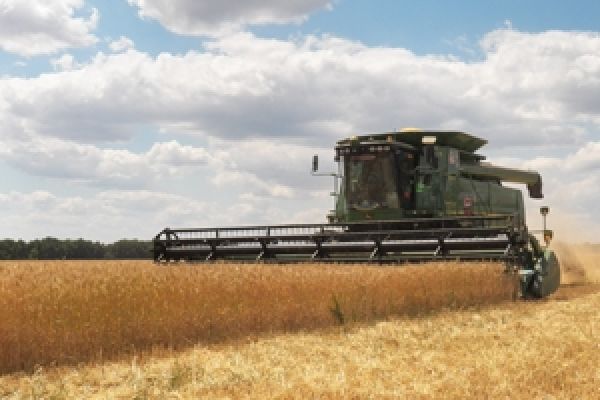 Аграрии собрали почти 24 млн т зерна — Присяжнюк