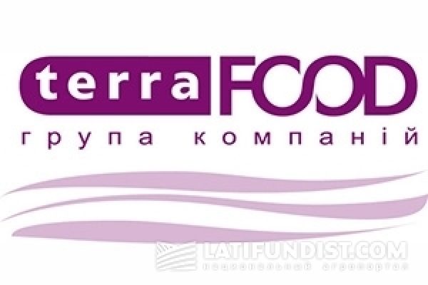 Финансовая отчетность молочного бизнеса ТЕРРА ФУД подтверждена аудитом KPMG