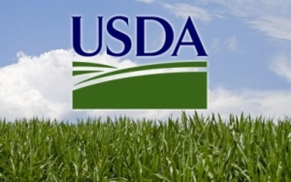 В USDA приостановлена работа из-за недостатка финансирования