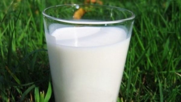Рост цен на молоко спровоцирован его дефицитом — эксперты