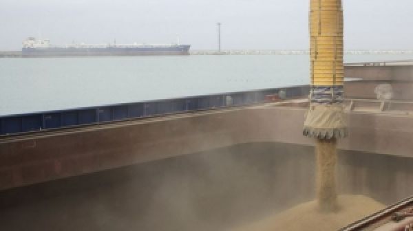 Строительство зернового терминала в Одесском порту расширит экспортные возможности Украины