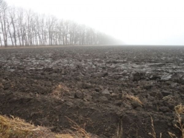 Треть собственников земельных паев в Украине никогда их не видели