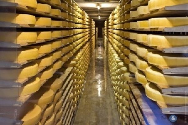 Украинские производители сыра покупают фабрики за границей — участник рынка