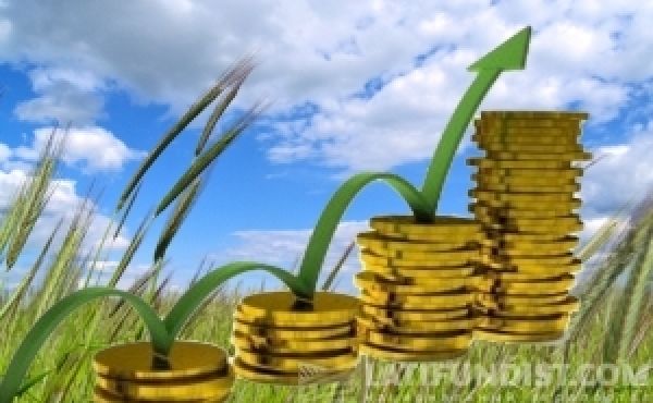 Иностранные инвесторы активно интересуются украинским агробизнесом — эксперт