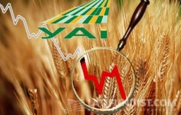 S&P понизило кредитные рейтинги компании Украинские аграрные инвестиции