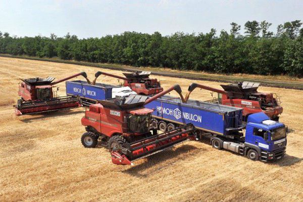 Урожай зерновых компании «НИБУЛОН» в 2017/18 МГ составляет 120,8 тыс. т