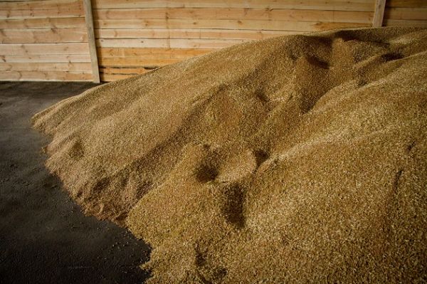 Валовой сбор зерновых в России в 2017 г. составит 130,7 млн т