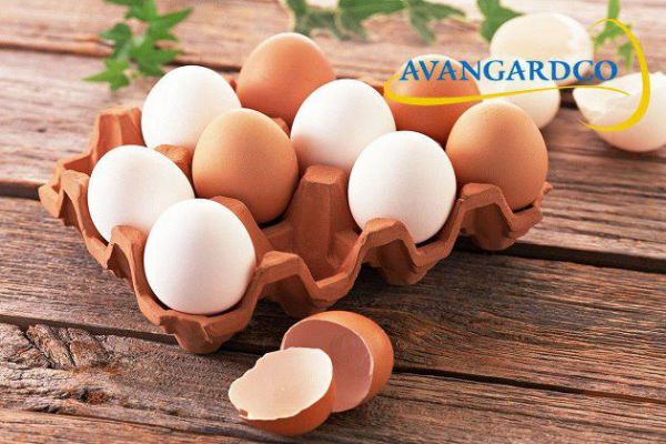 Авангард за I полугодие 2017 г. увеличил реализацию яиц на 12 млн шт