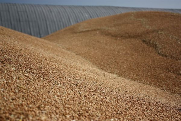 В России может возникнуть проблема с логистикой из-за рекордных урожаев зерновых