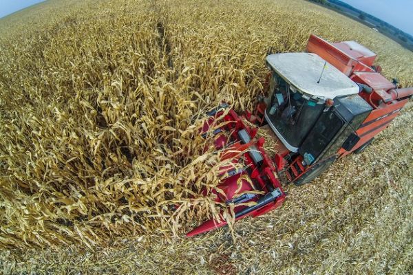 Аграрии Житомирской области намолотили 1,3 млн т поздних зерновых