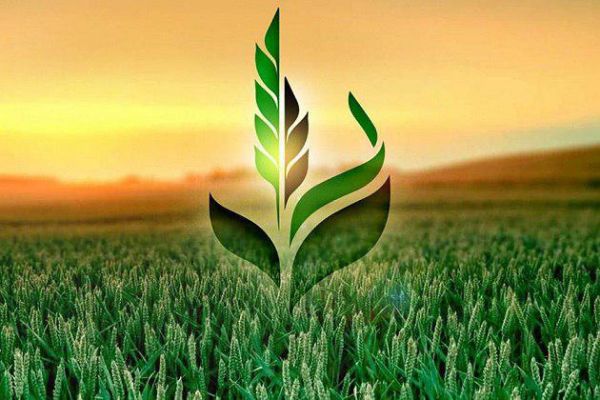 Аграрный фонд планирует выпуск корпоративных облигаций до конца 2017 г.