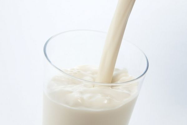 Украина за январь-ноябрь экспортировала 13 тыс. т молока