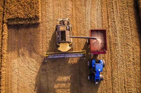 Early grains harvest in Ukraine