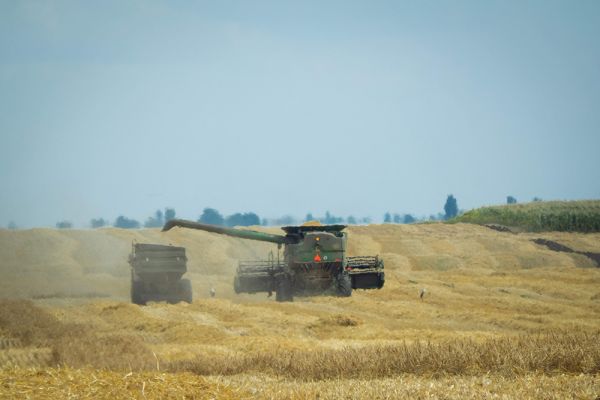 Grains harvesting in Ukraine