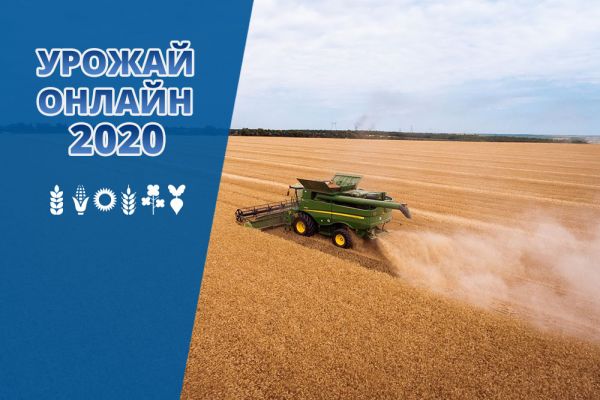 Crop progress in Ukraine